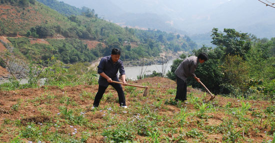 Sức sống nơi thượng nguồn sông Chảy ảnh 3